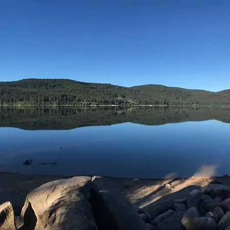 Apartamento -das Waldo- Mit Ausblick *