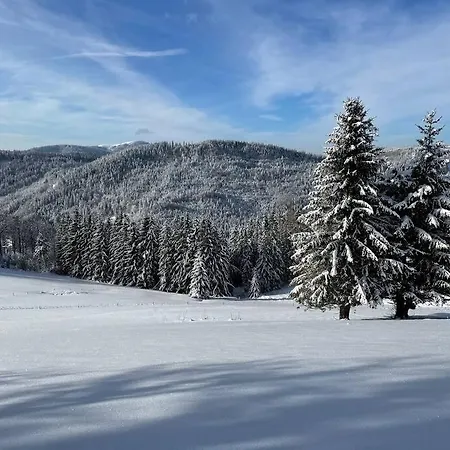 Apartamento -das Waldo- Mit Ausblick Lenzkirch