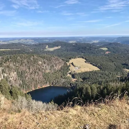 -das Waldo- Mit Ausblick *